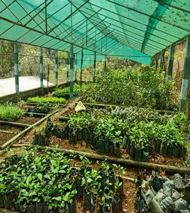 C:\Users\Lavinia Pde\Downloads\WhatsApp Image 2023-03-31 at 11.10.48.jpeg